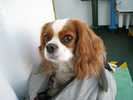 20080809-2.jpg