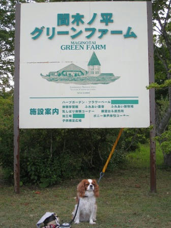 20080809-5.jpg