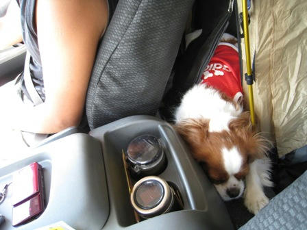 20080810-4.jpg