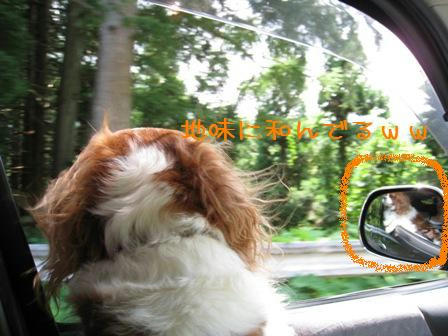 20080812-4.jpg