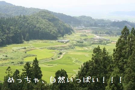 20080812-5.jpg
