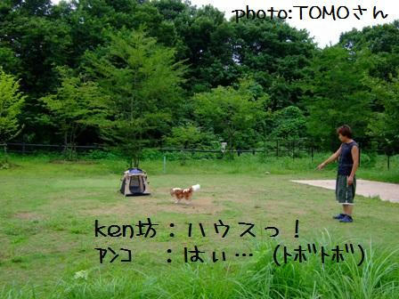 20080812-8.jpg