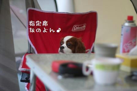 20080812-14.jpg