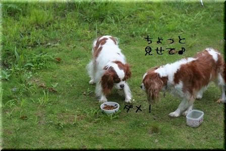 20080813-1.jpg