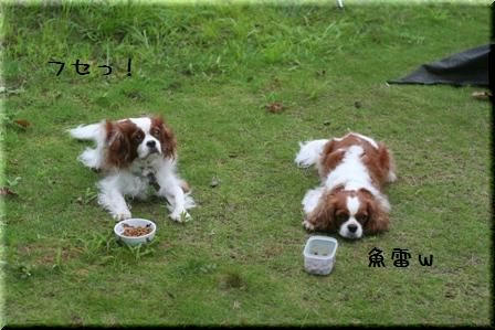20080813-2.jpg
