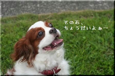 20080813-6.jpg