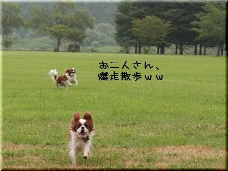 20080813-7.jpg