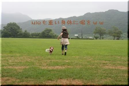 20080813-8.jpg