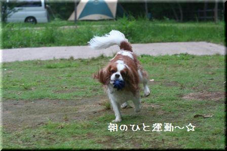 20080813-11.jpg