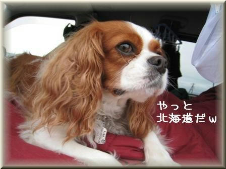 20080814-6.jpg