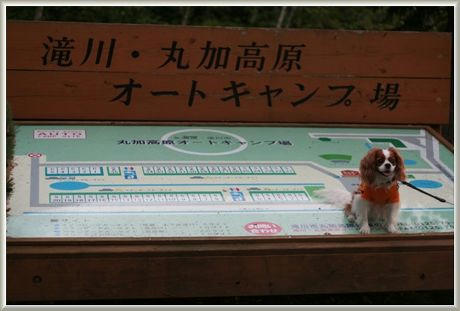 20080913-6.JPG