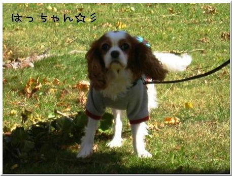 20081012-h1.JPG