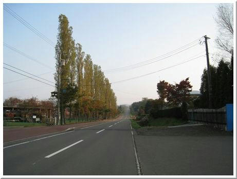 20081019-2.jpg