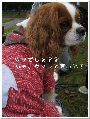 20081019-7.jpg