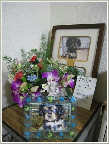 20081027-1.JPG