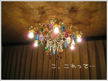 20090131-4.jpg