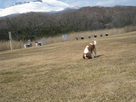20090407-6.JPG