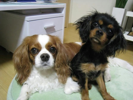 20090504-2shot.JPG