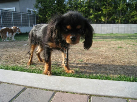 20090516-5.JPG