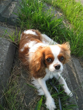 20090712-2.JPG