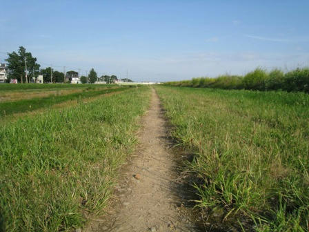 20090712-3.JPG