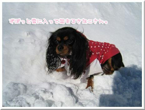 20091224-06.JPG