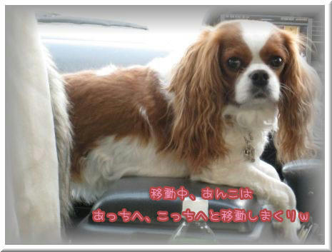 20091224-10.JPG