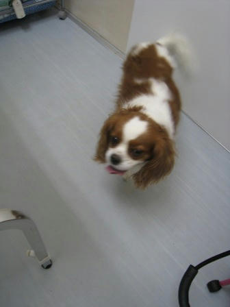 20100418-2.JPG