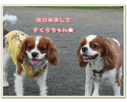 2010-07-31-1.jpg