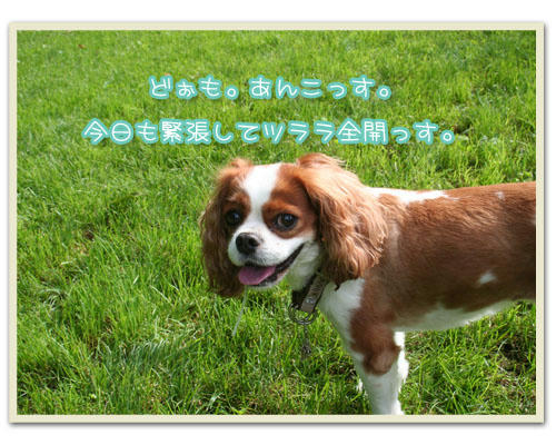 2010-07-31-4.jpg