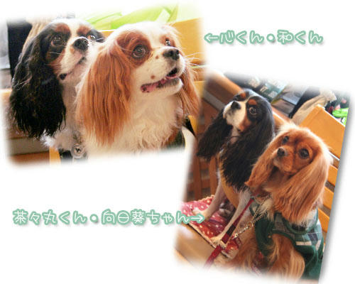 20111106-03.jpg
