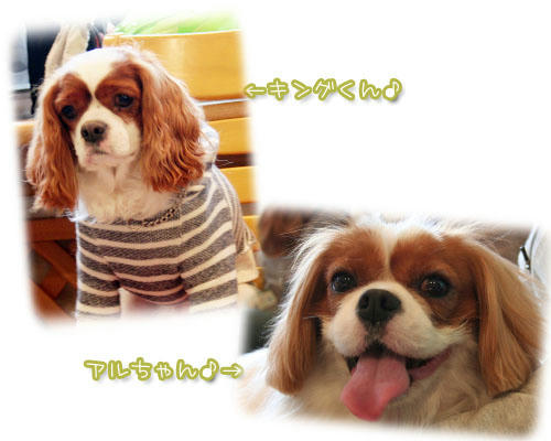 20111106-04.jpg