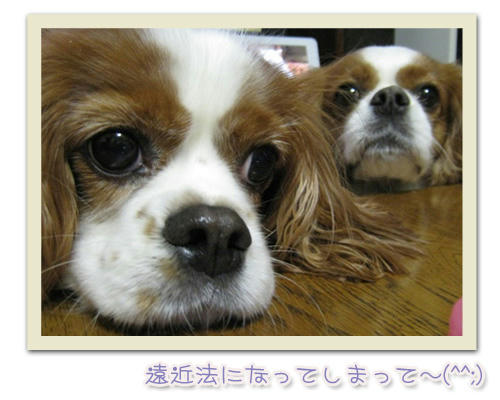 2011-11-27-01.JPG