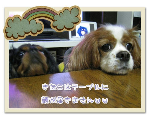 2011-11-27-02.JPG