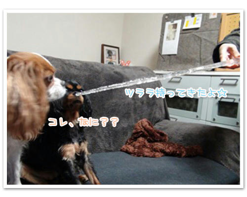 20120121-01.JPG