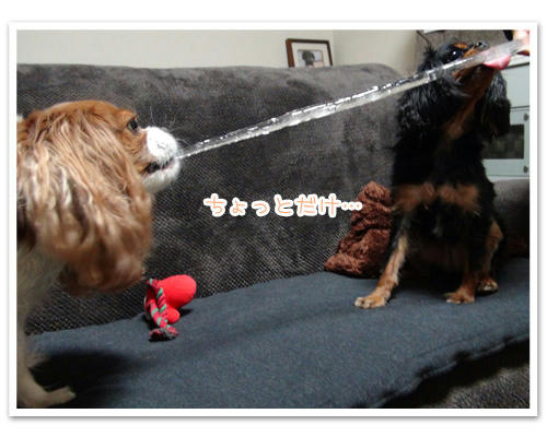 20120121-02.jpg