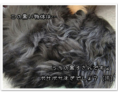 20120121-05.jpg