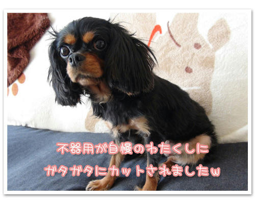 20120121-06.jpg