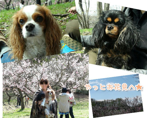 2012-05-13-05.jpg