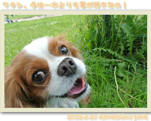 2012-06-10-02.jpg