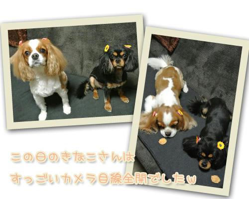 2012-06-16-02.jpg