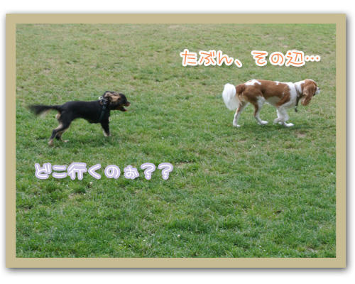 2012-07-15-02.JPG