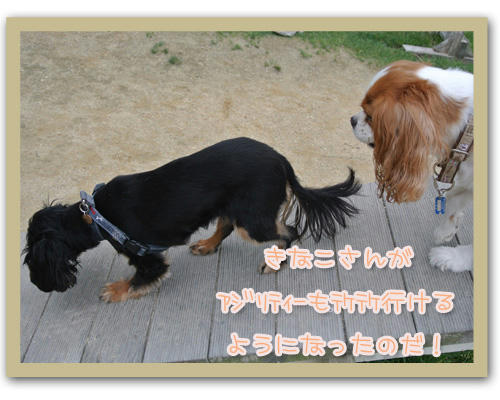 2012-07-15-05.jpg