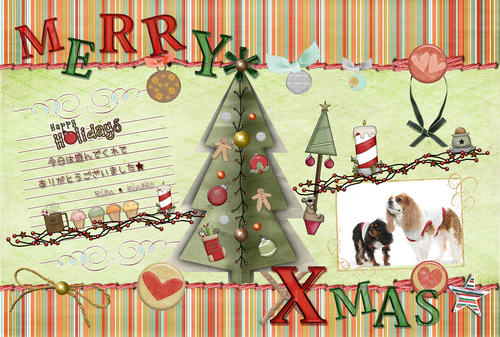 2012xmas.jpg