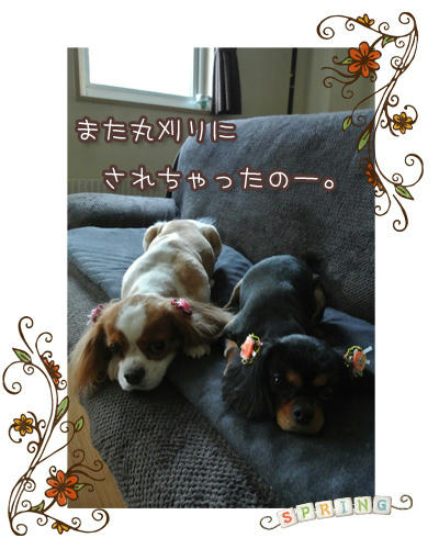 20130518-01.jpg