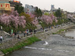 08040517.CIMG4939.JPG