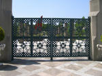 08050313.CIMG4993.JPG