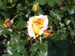 08050313.CIMG4992.JPG