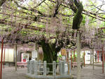 08051107.CIMG5018.JPG