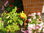 08051809.CIMG5029.JPG